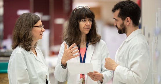 two female cancer faculty researchers with male researcher