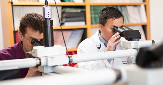 Peter Pytel, MD, and Deric Park, MD looking in microsopes