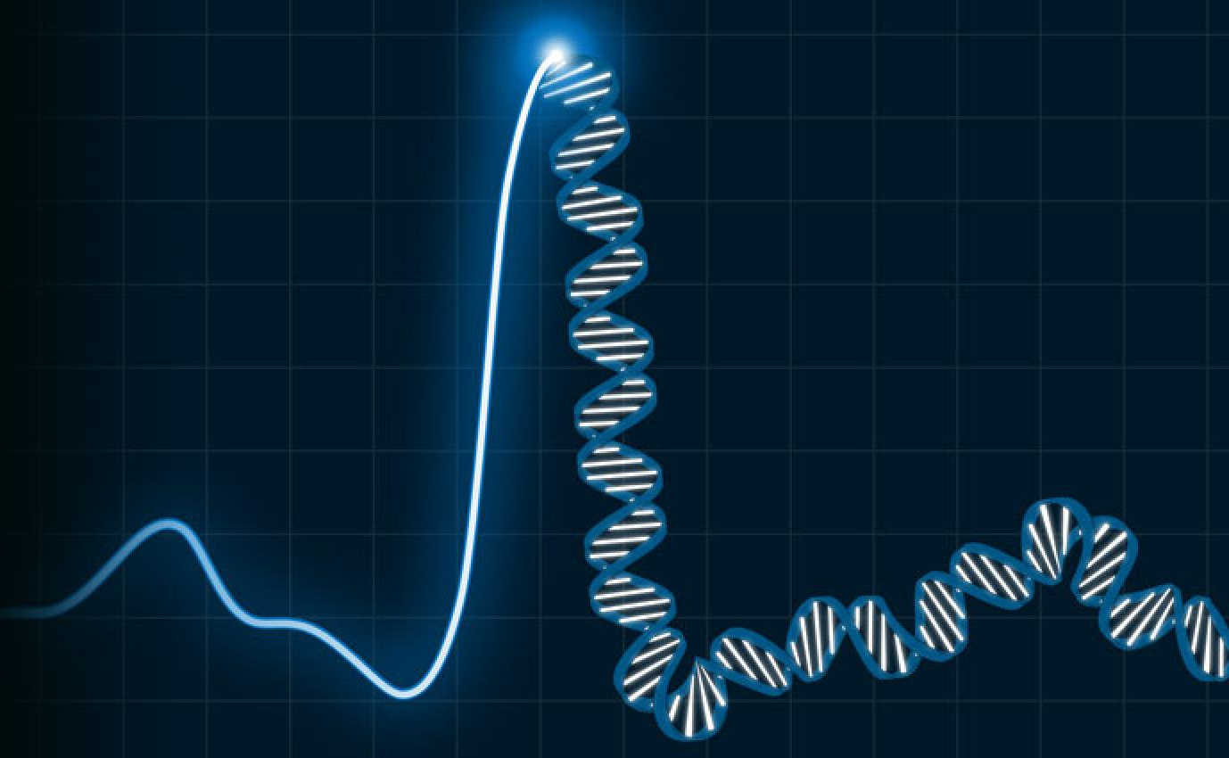 genetic variations disrupt heart rhythm