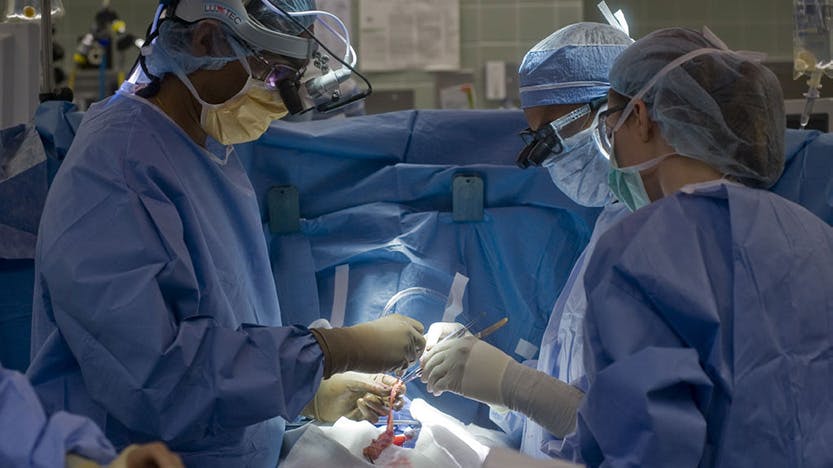 Surgeons perform heart transplant