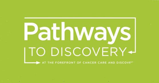 Pathways to Discovery logo