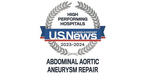 US News and World Report 2019-20 Badge for Abdominal Aortic Aneurysm Repair