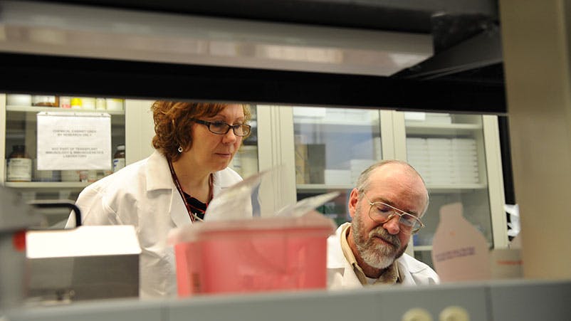 Portrait of physician Susana Marino, MD, PhD, D(ABHI), Associate Professor, Director, Transplant Immunology and Immunogenetics Lab, with an unidentified man in a lab