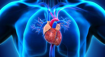 heart clinical stroytelling 370 x 203